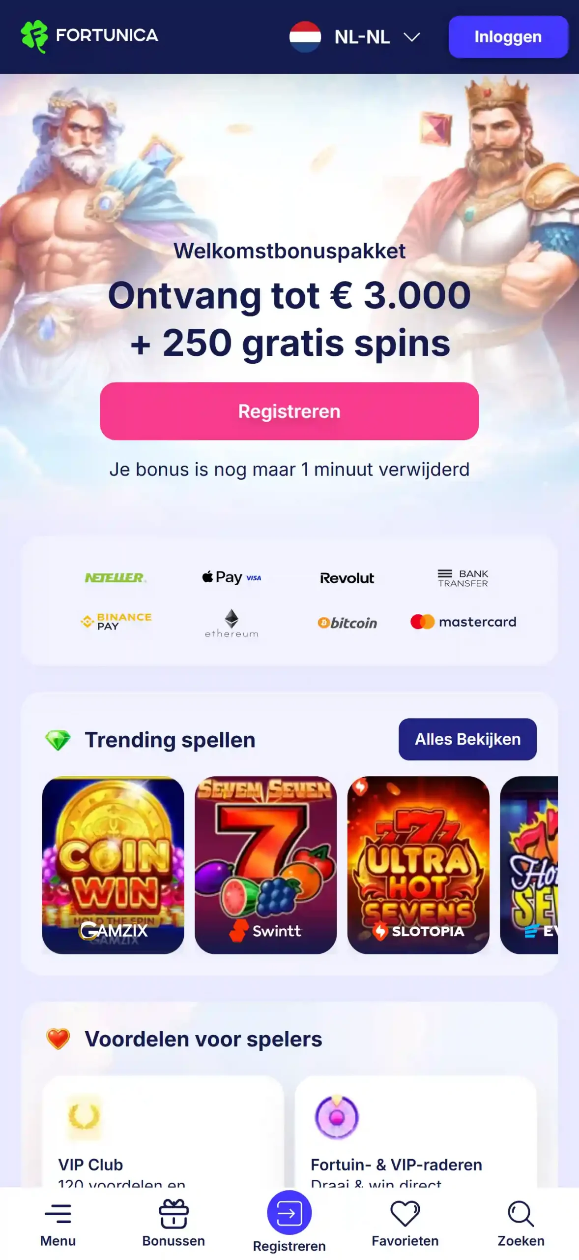 Officiele Fortunica website op een mobiele viewport
